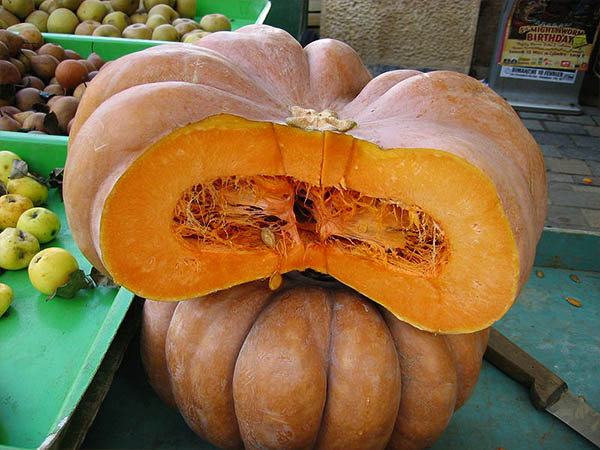 12. ಕುಂಬಳಕಾಯಿ