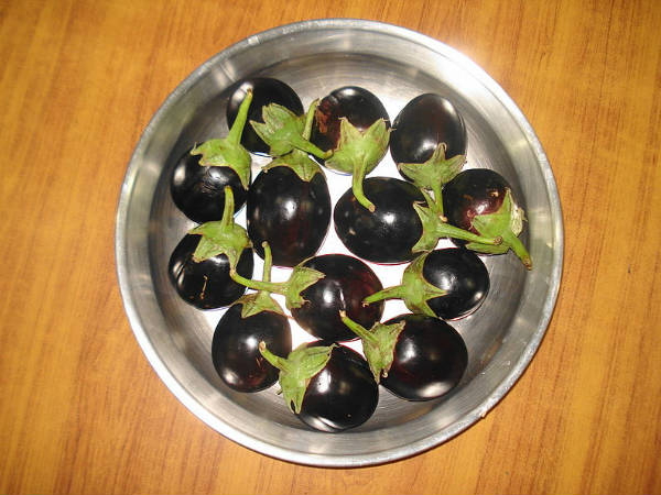 ಅಧಿಕ ರಕ್ತದೊತ್ತಡಕ್ಕೆ ಬದನೆ