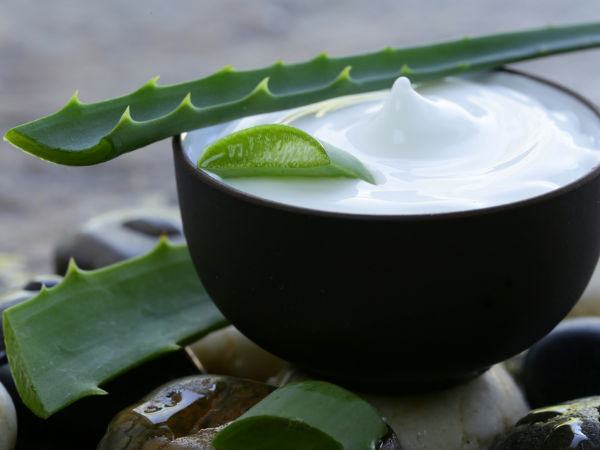 4. ತಾಜಾ ಅಲೋವೆರಾ