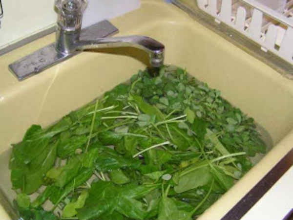 ಹಸಿರೆಲೆ ತರಕಾರಿಗಳು
