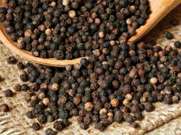 ಬೇವು ಮತ್ತು ಅಕೇಶಿಯಾ
