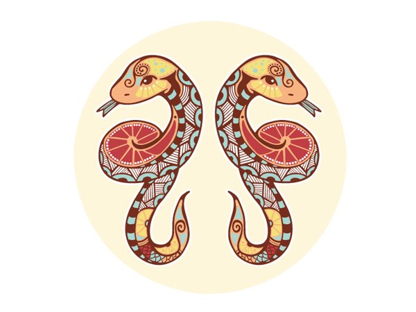 ಮಿಥುನ: ಮೇ 21- ಜೂನ್ 21