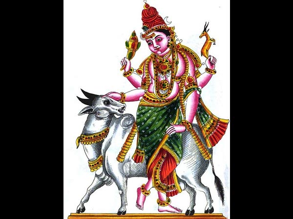 ಕೇತಕಿ ಹೂವು