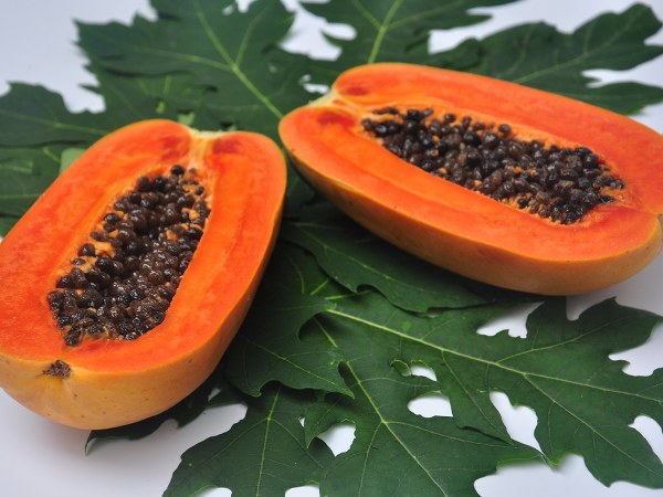 ಸೋಂಕಿನ ವಿರುದ್ಧ ಹೋರಾಡುವುದು
