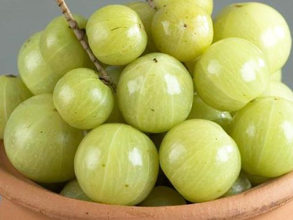 ಅಲರ್ಜಿ ಪರಿಣಾಮ ಉಂಟು ಮಾಡಬಹುದು