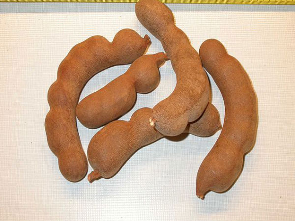 ಹುಣಸೆ ಹಣ್ಣಿನ ಪ್ರಯೋಜನಗಳು