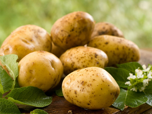 ಆಲೂಗಡ್ಡೆ-ಸೌತೆಕಾಯಿ