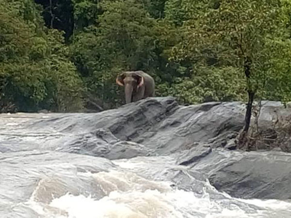 ಹರಿಯುವ ನೀರು