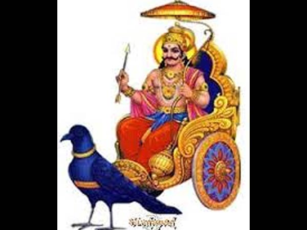 ಕಪ್ಪು ಬೆಕ್ಕು