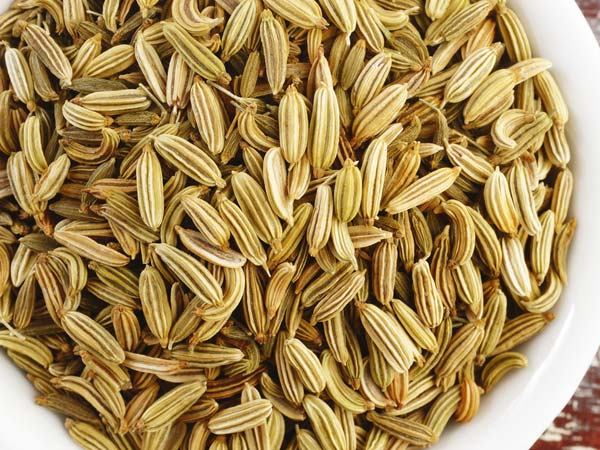 ದೊಡ್ಡ ಜೀರಿಗೆ (Fennel)