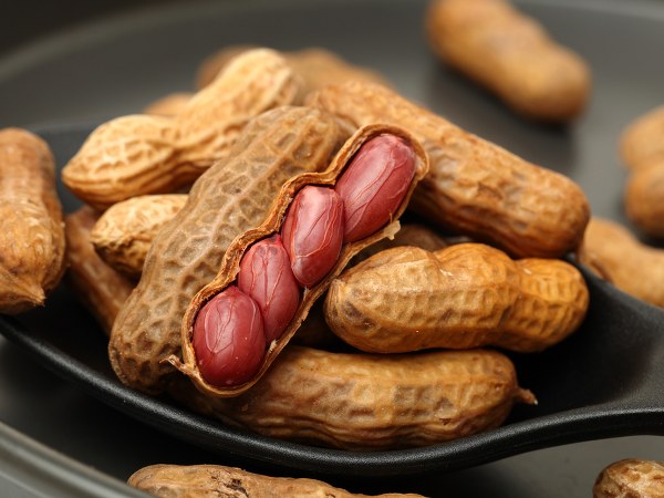 ನೆಲಗಡಲೆ