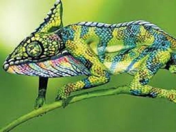 ಗೋಸುಂಬೆ