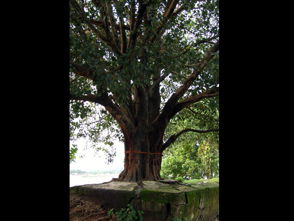 ಕಟ್ಟಿಗೆಯ ಮೇಲೆ ಬಡಿಯಬಾರದು