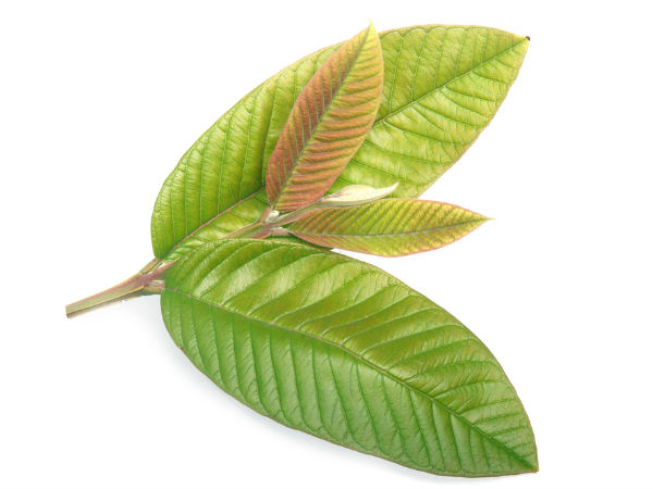 ಮೆದುಳಿಗೂ ಒಳ್ಳೆಯದು