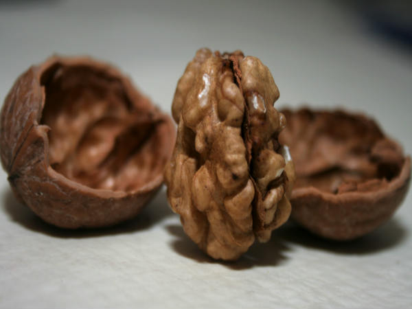 ಅಕ್ರೋಟು
