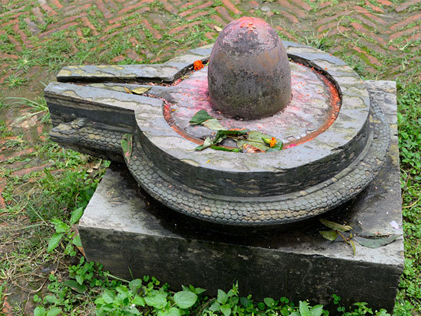 ಬೈಜು ತಪ್ಪು ಮಾಡುವನು