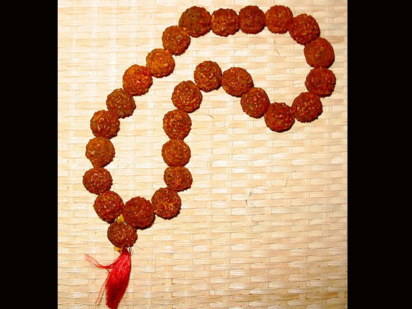 ನಾಲ್ಕು ಮುಖದ ರುದ್ರಾಕ್ಷಿ