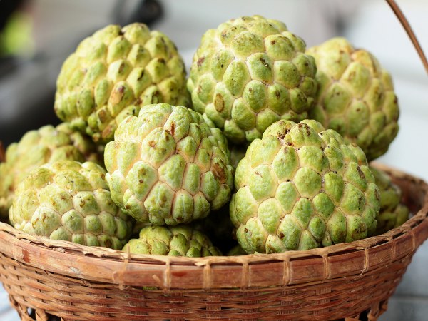 ಕಾಂತಿಯುತ ಚರ್ಮ