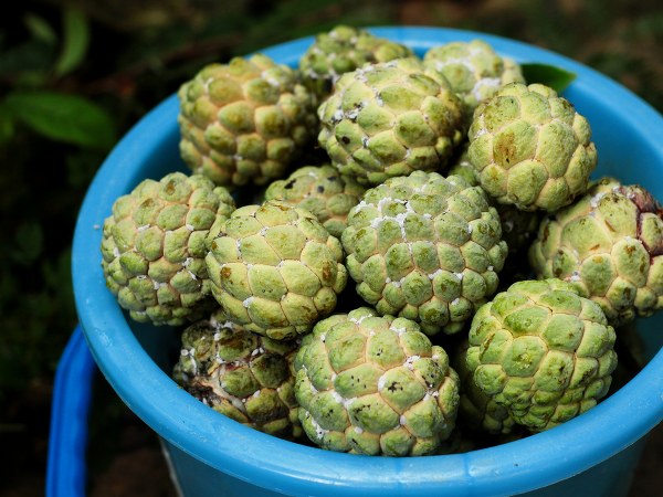 ವಯಸ್ಸಾಗುವ ಲಕ್ಷಣಗಳನ್ನು ತಡೆಯುವುದು