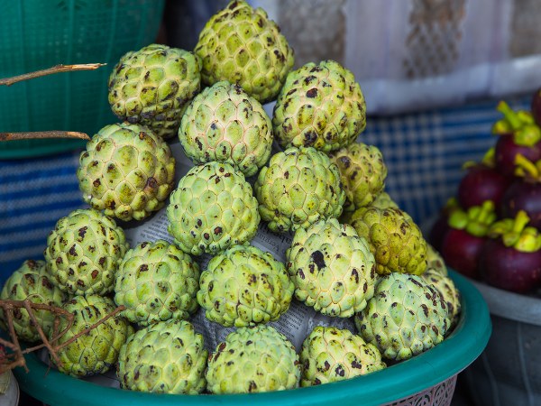 ಚರ್ಮಕ್ಕೆ ಮೊಶ್ಚಿರೈಸ್