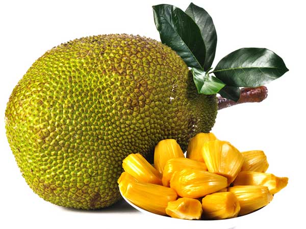 ಹಲಸಿನ ಹಣ್ಣಿನ ವೈಶಿಷ್ಟ್ಯ