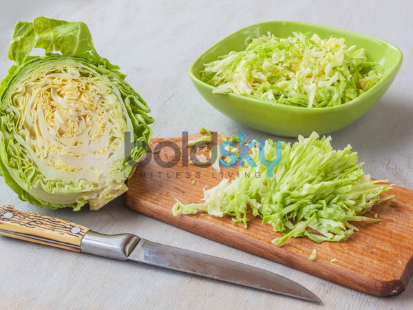 ಬಳಕೆಯ ವಿಧಾನ