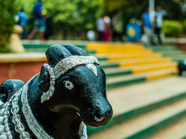 ನಂದಿಯ ವಿಶೇಷತೆ
