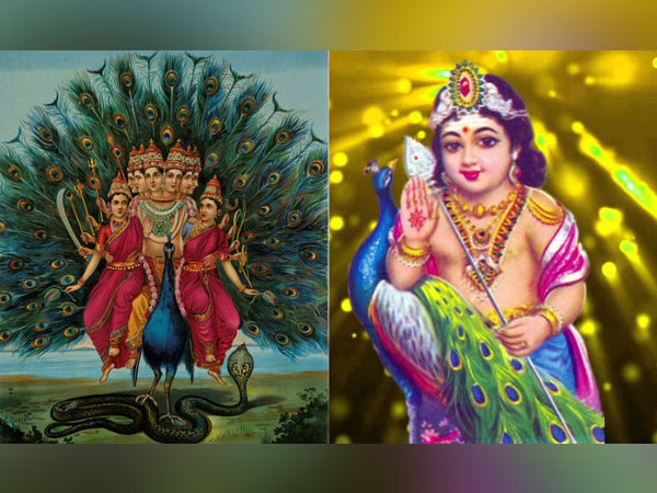 10 ಫೆಬ್ರವರಿ 2019 - ಸ್ಕಂದ ಷಷ್ಠಿ
