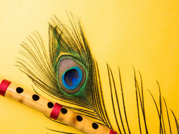 ವಾಸ್ತು ದೋಷಕ್ಕೆ ನವಿಲು ಗರಿಯ ಪರಿಹಾರ