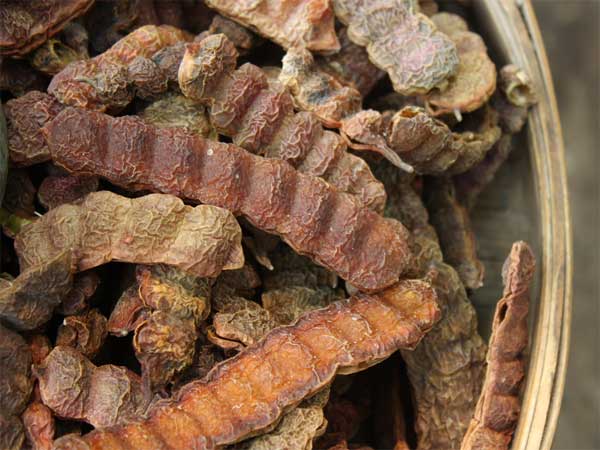 ಸೀಗೆಕಾಯಿ ಪುಡಿಯಿಂದ ಕೂದಲನ್ನು ತೋಯಿಸಿಕೊಳ್ಳುವುದು