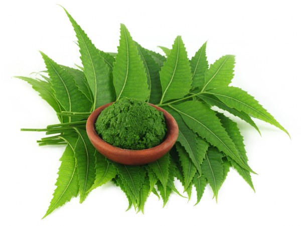 ಬೇವು