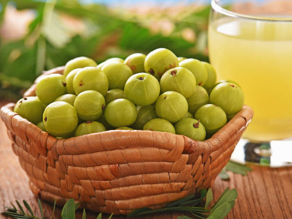 ಇಂಡಿಯನ್ ಗೂಸ್ ಬೆರ್ರಿ/ ನೆಲ್ಲಿಕಾಯಿ