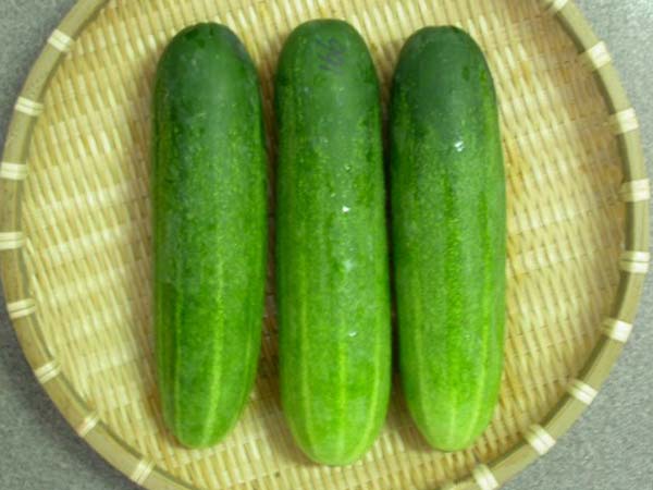 ಬೇಸಿಗೆಯ ಬಿಸಿಗೆ ತಂಪಾಗಿಸುವ ತರಕಾರಿಗಳು