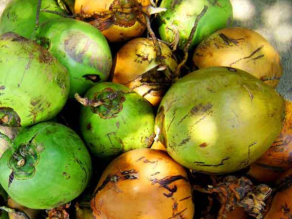 ಶಕ್ತಿ ವೃದ್ಧಿ ಮಾಡುವುದು