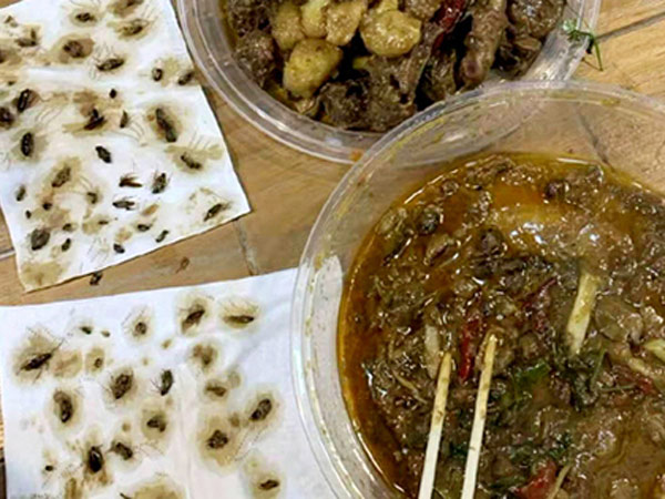 ಸಂಪೂರ್ಣ ಆಹಾರದಲ್ಲಿ ಕೀಟ ಆವರಿಸಿಕೊಂಡಿತ್ತು!