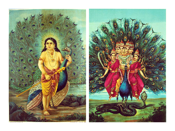 ಮಾರ್ಚ್ 12 - ಸ್ಕಂದ ಶಶ್ತಿ ಮತ್ತು ಮಾಸಿಕ್ ಕಾರ್ತಿಗೈ
