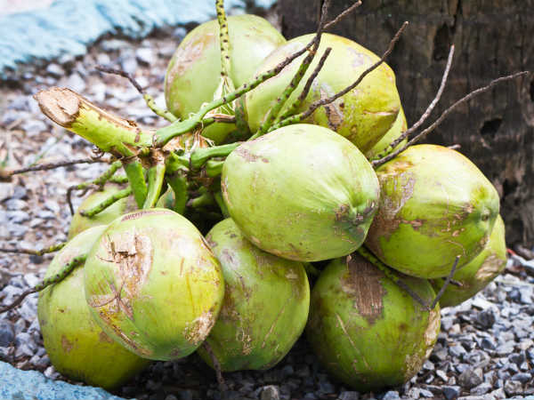 ಕಣ್ಣಿನ ದೃಷ್ಟಿ ಸುಧಾರಣೆ ಆಗುವುದು
