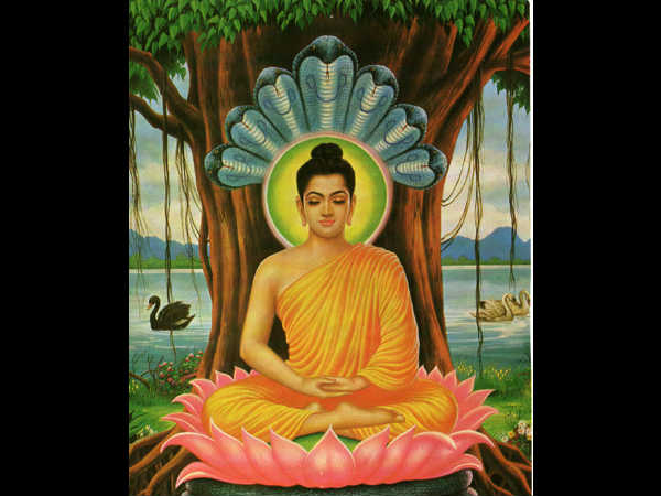 ಬುದ್ಧನು ಆ ಹುಡುಗಿಯ ಭಕ್ತಿಯಿಂದಲೇ ಅಲ್ಲಿಗೆ ಬಂದಿದ್ದರು