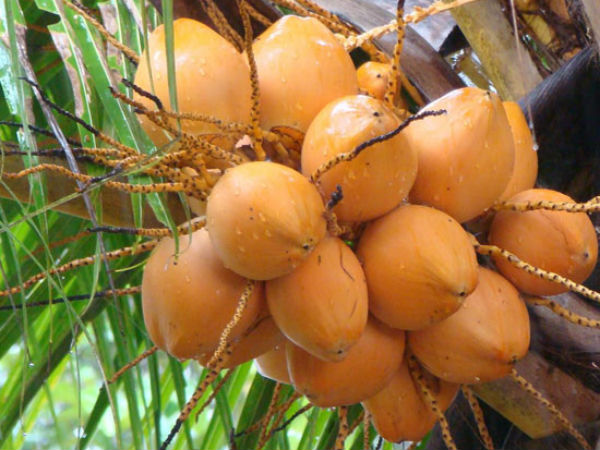 ಚರ್ಮಕ್ಕೆ ಪುನರ್ಶ್ಚೇತನ ನೀಡುವುದು