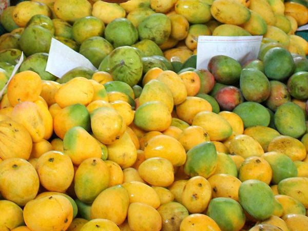 ಮಾವಿನ ಹಣ್ಣಿನಲ್ಲಿ ಇರುವ ಇತರ ಕೆಲವು ಗುಣಗಳು