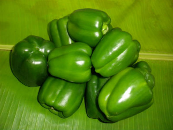 ಹಸಿರು ದೊಣ್ಣೆಮೆಣಸು