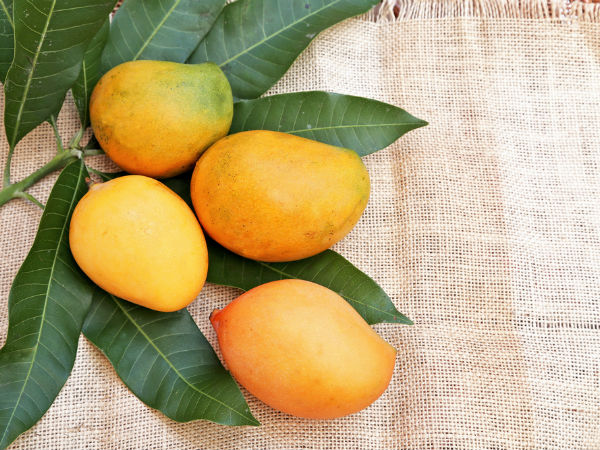 ಮಾವು ಅಚ್ಚರಿಯನ್ನು ಸೂಚಿಸುವುದು