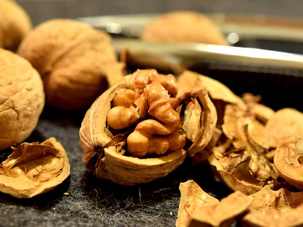 ವಾಲ್ನಟ್ನಿಂದ (ಅಕ್ರೋಟ್) ಕೂದಲಿಗೆ ಆಗುವ ಲಾಭಗಳು