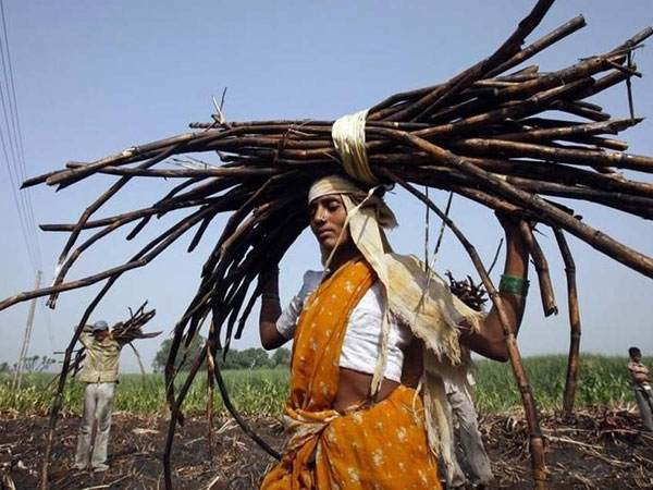 ಹಾಜಿಪುರ ಎನ್ನುವ ಗ್ರಾಮದಲ್ಲಿ
