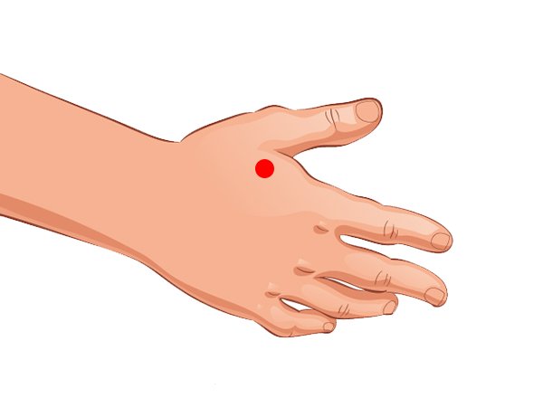 ಹೆಬ್ಬೆರಳು - ತೋರುಬೆರಳ ನಡುವಣ ಸ್ಥಾನ (Union valley (hand))