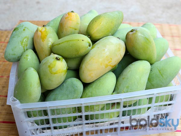 ಸ್ಕರ್ವಿ ರೋಗದಿಂದ ಕಾಪಾಡುತ್ತದೆ