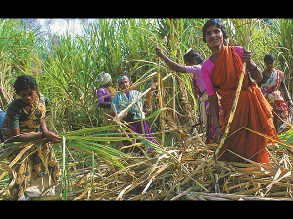 ವರದಿಗಳು ಹೇಳುವ ಪ್ರಕಾರ