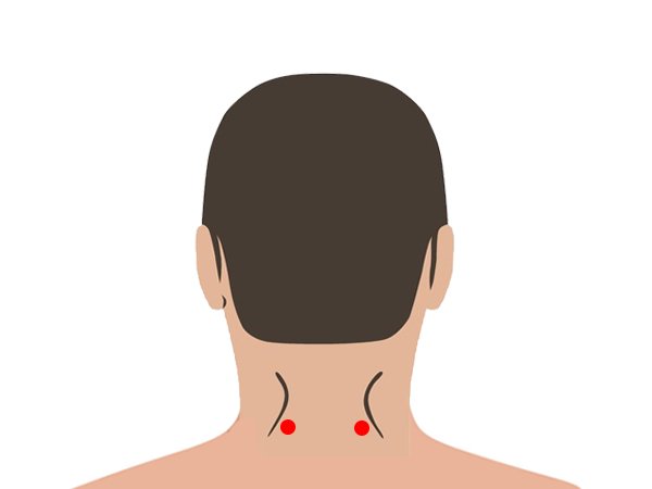 ಕುತ್ತಿಗೆಯ ಹಿಂಭಾಗ (Gates of consciousness (back of the head)