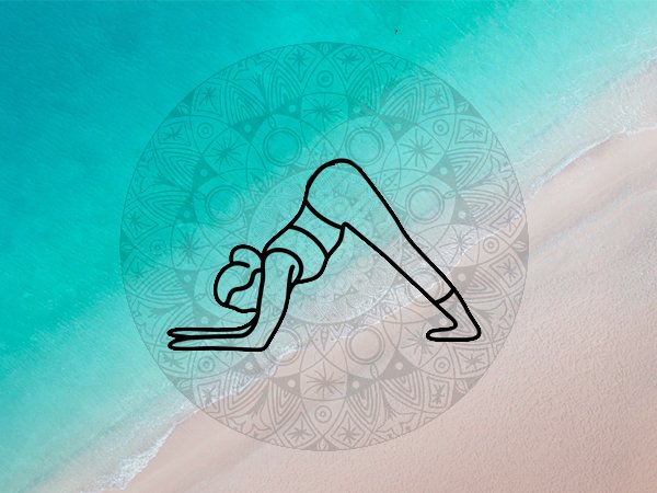 ಅರ್ಧ ಪಿಂಚ ಮಯೂರಾಸನ