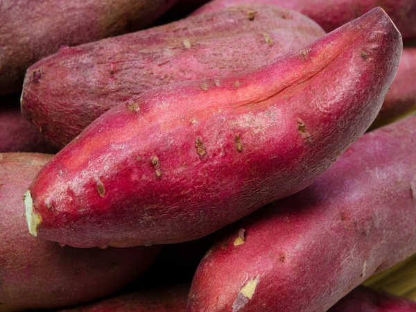 ಗೆಣಸು